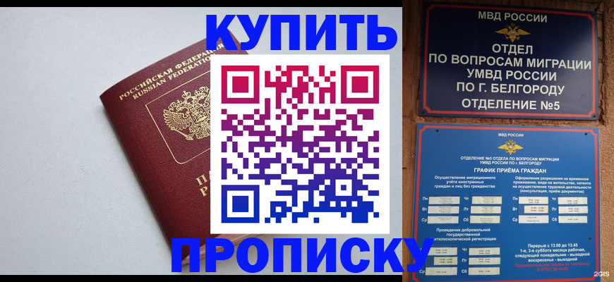 прописка регистрация в Новомосковске
